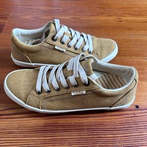 Taos Star Canvas Sneakers in Yellow/Mustard